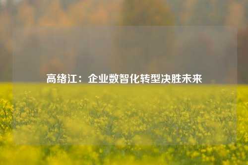 高绪江：企业数智化转型决胜未来