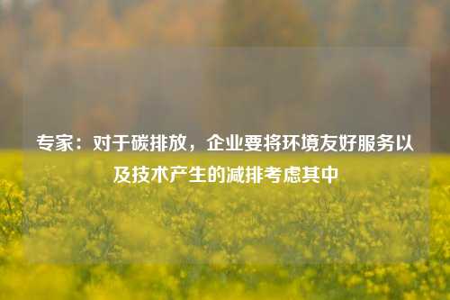 专家：对于碳排放，企业要将环境友好服务以及技术产生的减排考虑其中