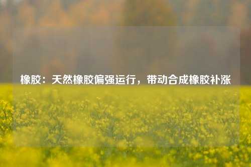 橡胶：天然橡胶偏强运行，带动合成橡胶补涨