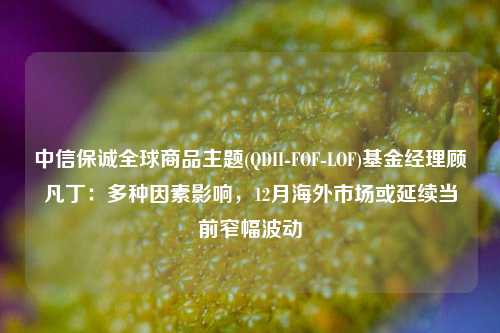 中信保诚全球商品主题(QDII-FOF-LOF)基金经理顾凡丁：多种因素影响，12月海外市场或延续当前窄幅波动