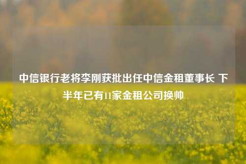 中信银行老将李刚获批出任中信金租董事长 下半年已有11家金租公司换帅