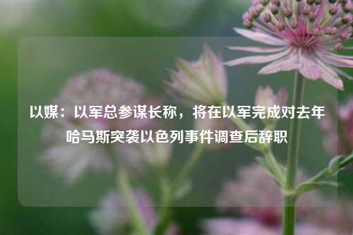 以媒：以军总参谋长称，将在以军完成对去年哈马斯突袭以色列事件调查后辞职