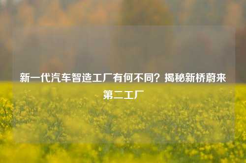 新一代汽车智造工厂有何不同？揭秘新桥蔚来第二工厂