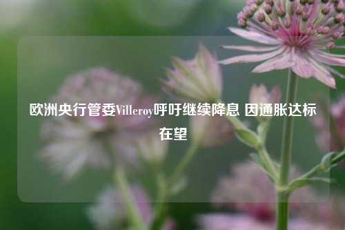 欧洲央行管委Villeroy呼吁继续降息 因通胀达标在望