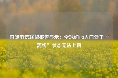 国际电信联盟报告显示：全球约1/3人口处于“离线”状态无法上网