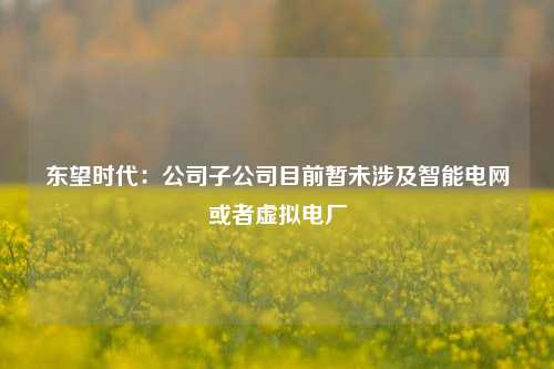 东望时代：公司子公司目前暂未涉及智能电网或者虚拟电厂