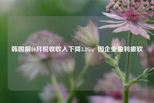 韩国前10月税收收入下降3.8%，因企业盈利疲软