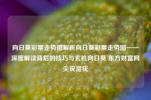 向日葵彩票走势图解析向日葵彩票走势图——深度解读背后的技巧与玄机向日葵 东方财富网尖锐湿疣