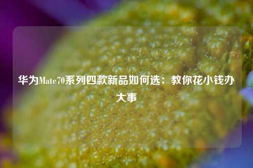 华为Mate70系列四款新品如何选：教你花小钱办大事