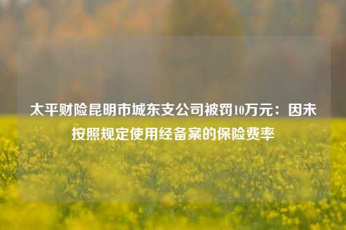 太平财险昆明市城东支公司被罚10万元：因未按照规定使用经备案的保险费率