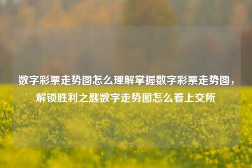 数字彩票走势图怎么理解掌握数字彩票走势图，解锁胜利之匙数字走势图怎么看上交所