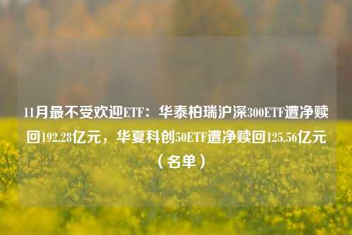 11月最不受欢迎ETF：华泰柏瑞沪深300ETF遭净赎回192.28亿元，华夏科创50ETF遭净赎回125.56亿元（名单）