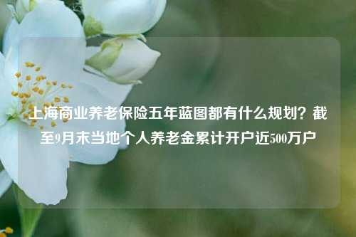 上海商业养老保险五年蓝图都有什么规划？截至9月末当地个人养老金累计开户近500万户