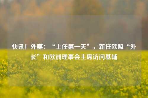 快讯！外媒：“上任第一天”，新任欧盟“外长”和欧洲理事会主席访问基辅