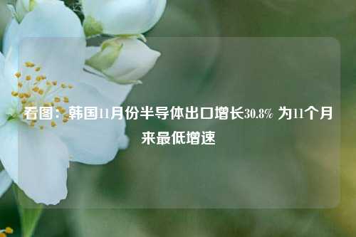 看图：韩国11月份半导体出口增长30.8% 为11个月来最低增速