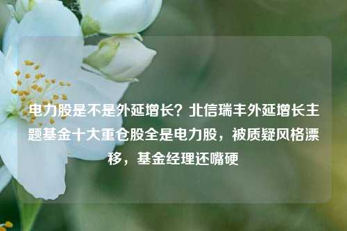 电力股是不是外延增长？北信瑞丰外延增长主题基金十大重仓股全是电力股，被质疑风格漂移，基金经理还嘴硬