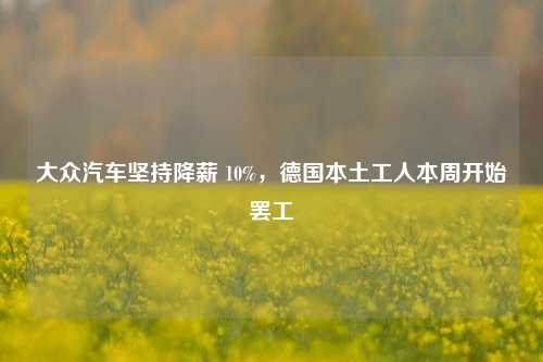 大众汽车坚持降薪 10%，德国本土工人本周开始罢工