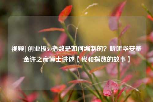 视频|创业板50指数是如何编制的？听听华安基金许之彦博士讲述【我和指数的故事】