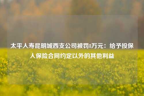 太平人寿昆明城西支公司被罚8万元：给予投保人保险合同约定以外的其他利益