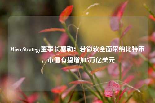 MicroStrategy董事长塞勒：若微软全面采纳比特币，市值有望增加5万亿美元