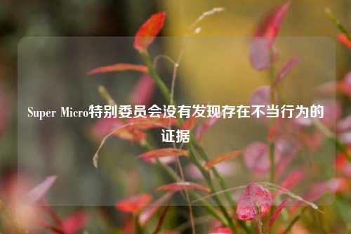 Super Micro特别委员会没有发现存在不当行为的证据