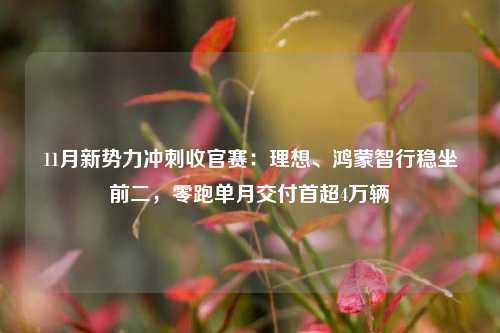 11月新势力冲刺收官赛：理想、鸿蒙智行稳坐前二，零跑单月交付首超4万辆