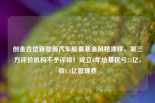 创金合信新能源汽车股票基金风格漂移，第三方评价机构不予评级！成立6年给基民亏25亿，收1.4亿管理费