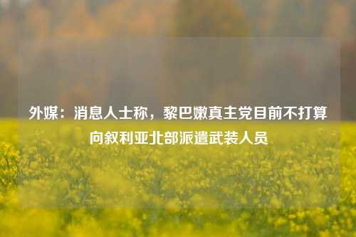 外媒：消息人士称，黎巴嫩真主党目前不打算向叙利亚北部派遣武装人员