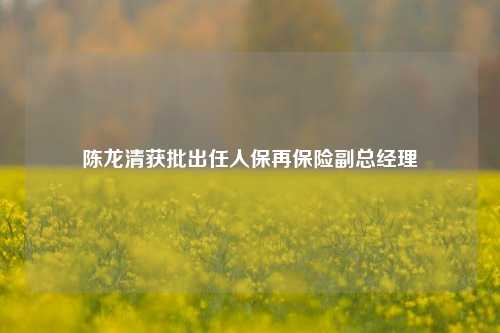 陈龙清获批出任人保再保险副总经理