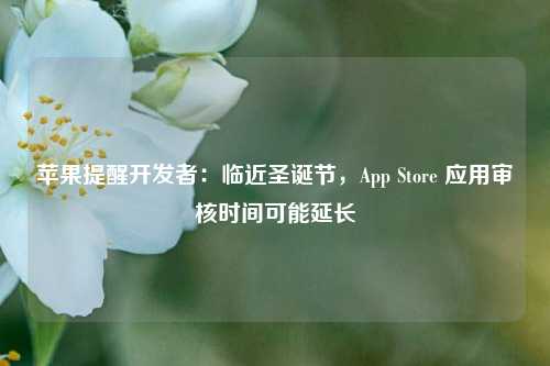 苹果提醒开发者：临近圣诞节，App Store 应用审核时间可能延长