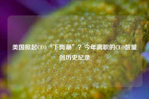 美国掀起CEO“下岗潮”？今年离职的CEO数量创历史纪录