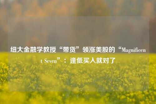 纽大金融学教授“带货”领涨美股的“Magnificent Seven”：逢低买入就对了