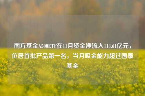 南方基金A500ETF在11月资金净流入114.61亿元，位居首批产品第一名，当月吸金能力超过国泰基金