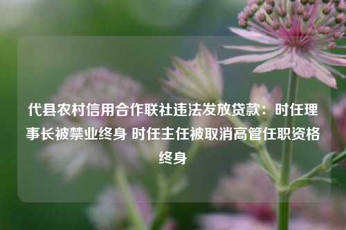 代县农村信用合作联社违法发放贷款：时任理事长被禁业终身 时任主任被取消高管任职资格终身