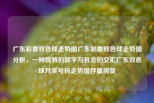 广东彩票双色球走势图广东彩票双色球走势图分析，一种独特的数字与机会的交汇广东双色球开奖号码走势图存量房贷