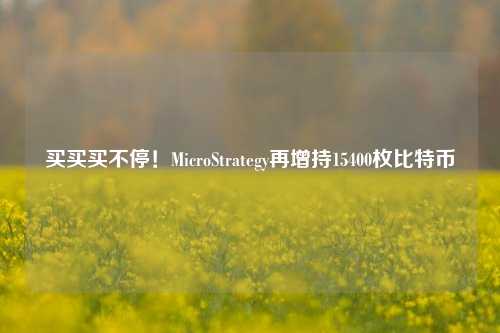 买买买不停！MicroStrategy再增持15400枚比特币