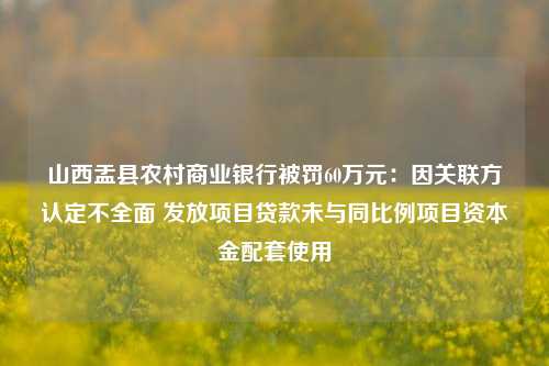 山西盂县农村商业银行被罚60万元：因关联方认定不全面 发放项目贷款未与同比例项目资本金配套使用