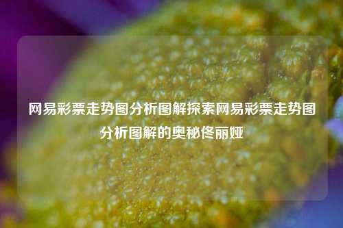 网易彩票走势图分析图解探索网易彩票走势图分析图解的奥秘佟丽娅