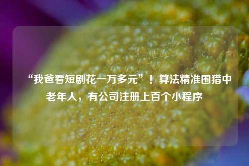 “我爸看短剧花一万多元”！算法精准围猎中老年人，有公司注册上百个小程序