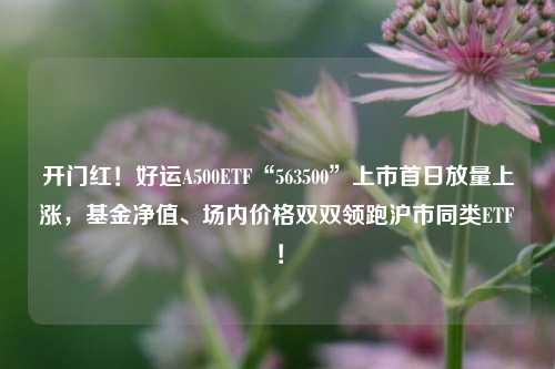 开门红！好运A500ETF“563500”上市首日放量上涨，基金净值、场内价格双双领跑沪市同类ETF！