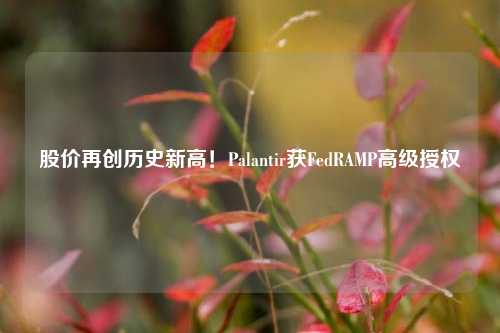 股价再创历史新高！Palantir获FedRAMP高级授权