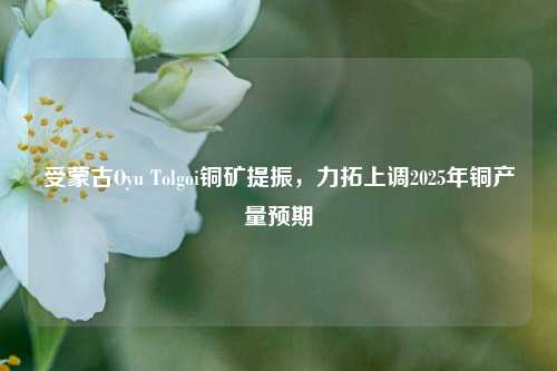 受蒙古Oyu Tolgoi铜矿提振，力拓上调2025年铜产量预期