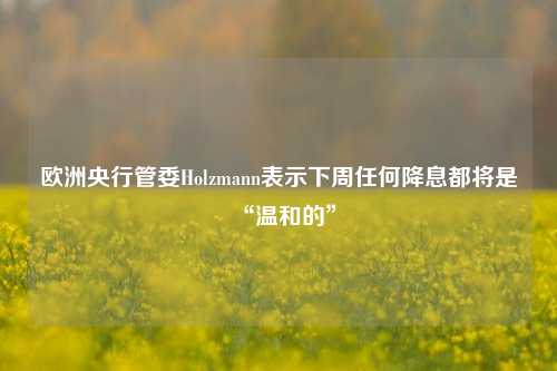 欧洲央行管委Holzmann表示下周任何降息都将是“温和的”