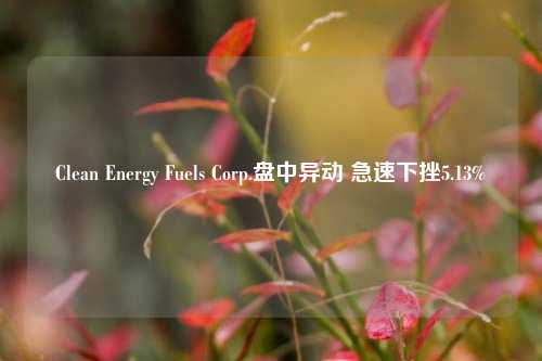 Clean Energy Fuels Corp.盘中异动 急速下挫5.13%