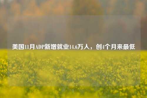 美国11月ADP新增就业14.6万人，创4个月来最低