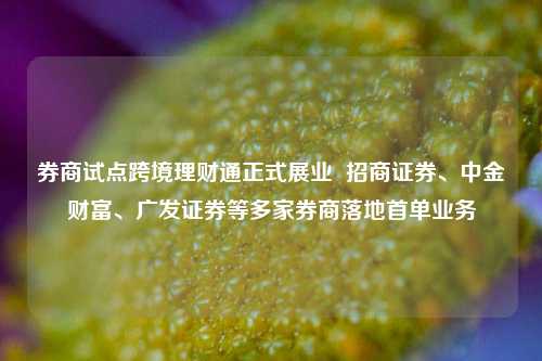 券商试点跨境理财通正式展业  招商证券、中金财富、广发证券等多家券商落地首单业务