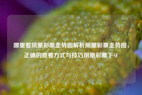 哪里看凤凰彩票走势图解析凤凰彩票走势图，正确的查看方式与技巧凤凰彩票下SF