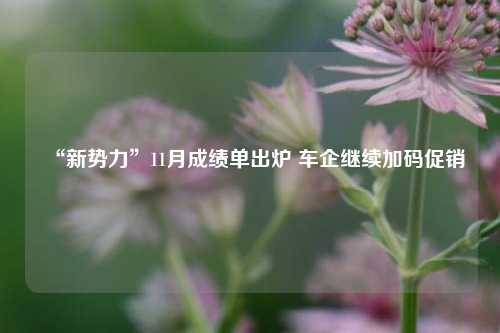 “新势力”11月成绩单出炉 车企继续加码促销