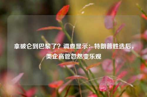 拿破仑到巴黎了？调查显示：特朗普胜选后，美企高管忽然变乐观