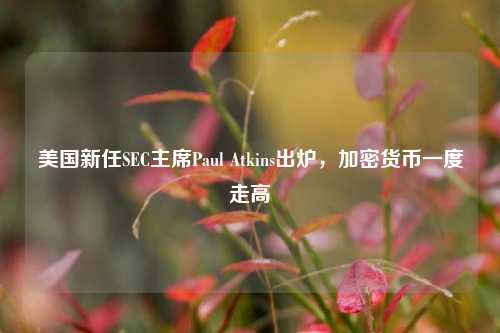 美国新任SEC主席Paul Atkins出炉，加密货币一度走高